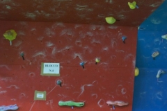a1 (15)