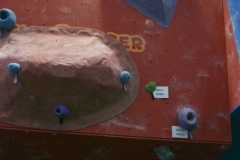 a1 (16)