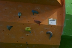 a1 (5)