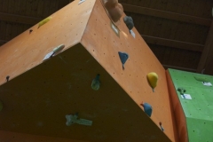 a1 (6)