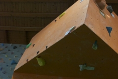 a1 (7)