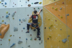 1 (183)