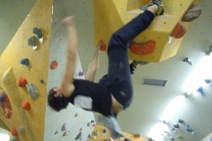 1 (229)