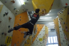 1 (230)