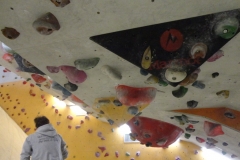 1 (25)