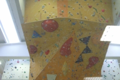 1 (79)