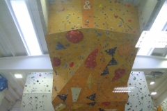 1 (80)