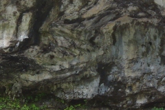 DSC00436
